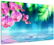 Tablou - Orhidee (90x60 cm)