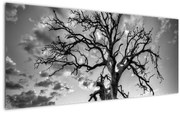 Tablou - Copacul, alb-negru (120x50 cm)
