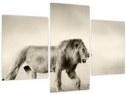 Tablou - Leul flămând (90x60 cm)