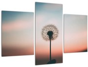 Tablou - Te țin, păpădie (90x60 cm)