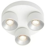 Spot aplicat tavan directionabil Pitcher 3L alb