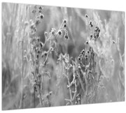 Tablou pe sticlă - Pajiște sălbatică (70x50 cm)