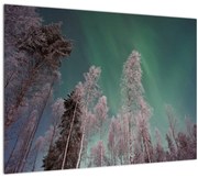 Tablou cu aurora borealis deasupra pomilor înghețați (70x50 cm)