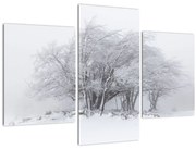Tablou - Iarnă albă (90x60 cm)