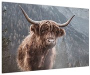 Tablou - Vaca Highlander (90x60 cm)