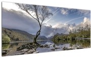 Tablou cu râu și copac (120x50 cm)