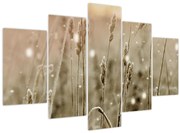 Tablou - Pajiște armonioasă (150x105 cm)