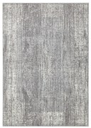 Covor Hanse Home Celebration Elysium, 160x230 cm, gri