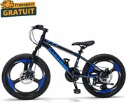 Bicicleta Caraiman, roti 20 inch, cadru otel, frane pe disc, cameleon
