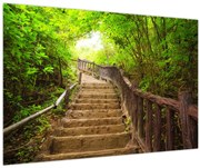 Tablou - Scări în natură (90x60 cm)