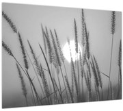 Tablou - Pajiște la apus (70x50 cm)