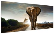 Tablou cu elefant (120x50 cm), în 40 de alte dimensiuni noi