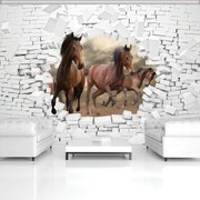 Fototapet - 3D cai în perete (254x184 cm)