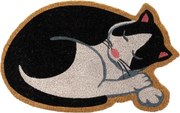Covoraș de intrare din fibre de nucă de cocos 40x60 cm Cat – Casa Selección