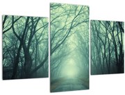 Tablou - Alee cu copaci (90x60 cm)