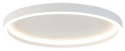 Plafoniera de design alb inclusiv LED - Daniela