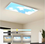 Brilagi - Plafonieră LED dimabilă SLIMFRAME SKY LED/80W/230V 120x60 cm + telecomandă