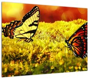 Tablou cu fluturi (70x50 cm)