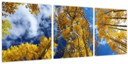 Tablou - Aspen (cu ceas) (90x30 cm)