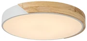 Plafonieră LED MAPLE 24W/230V albă Rabalux 3527