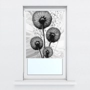 Fotojaluzele R014977R42150 (42x150 cm)