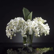 Aranjament floral design LUX TROP DOUBLE PALM 1140886.95