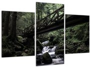 Tablou din pădurea neagră (90x60 cm)