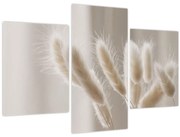 Tablou - Cozi de iepure (90x60 cm)