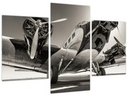 Tablou - Avioane istorice (90x60 cm)