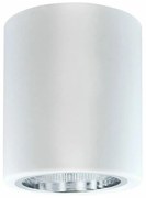 Plafonieră JUPITER 1xE27/20W/230V 120x98 mm