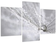 Tablou - Picătură de apă (90x60 cm)