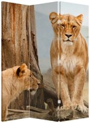 Paravan - Două leoaice (126x170 cm)