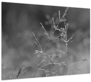 Tablou - Pajiște de țară (70x50 cm)