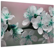 Tablou cu floare - turcoaz (70x50 cm)