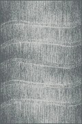 Covor Cu Linii Tytus Grey Selectează mărime: 160 X 220