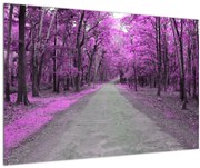 Tablou - drum prin parc (90x60 cm)