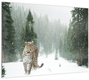 Tablou cu leopard în zăpadă (70x50 cm)