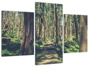 Tablou cu drum între copaci (90x60 cm)
