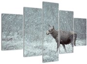 Tablou - Elan într-o pădure înzăpezită (150x105 cm)