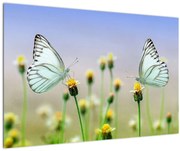 Tablou cu fluture pe floare (90x60 cm)