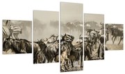 Tablou pe pânză K011152K12570 (125x70 cm), în 40 de alte dimensiuni noi