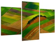 Tablou - Lan, luncile (90x60 cm)