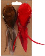 Pasăre pe clip set de 2 buc, maro / roșu , 17 x 5,5 x 4,5 cm