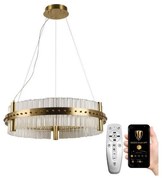 Lustră LED de cristal dimabilă pe cablu LED/40W/230V + telecomandă