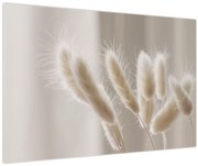 Tablou - Cozi de iepure (90x60 cm)