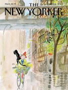 Ilustrație The NY Magazine Cover 321