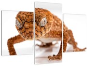 Tablou cu șopârlă (90x60 cm)