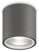 Spot aplicat IP44 GUN PL1 ANTRACITE 236865 IDL