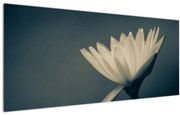 Tablou cu flori (120x50 cm)