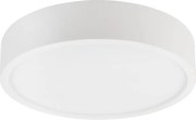Plafonieră NATURAL, 3xE27/15W/230V, Ø 37,5 cm, pin/alb